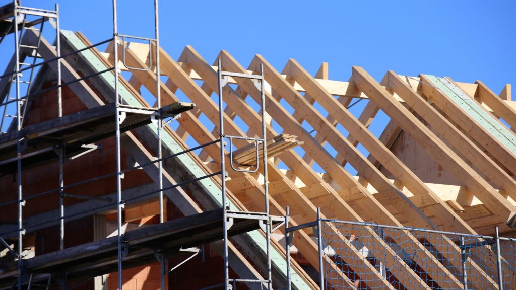 Professional Roofer London